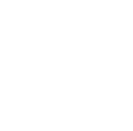 Composer Manfred Plessl